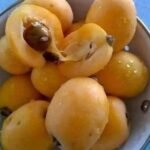 “Pasé años sin saber cómo se llamaba esta fruta… hasta que descubrí que era una de las más queridas de la infancia