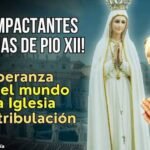 Las impactantes profecías de Pío XII que muchos católicos creen que se están cumpliendo