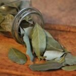 El hechizo de la hoja de laurel que cumple cualquier deseo