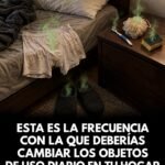 Lo que nadie te dice sobre los objetos que usas todos los días